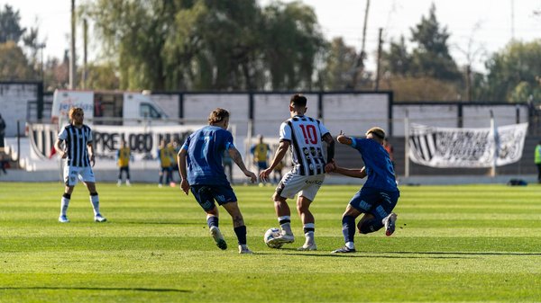 How Can We Improve the Quality of Life for Pets in the UK?